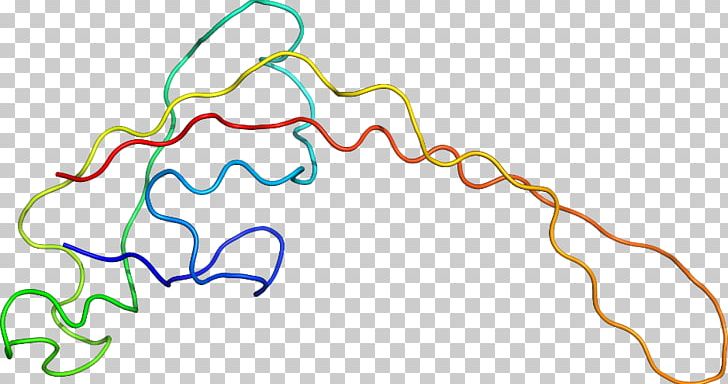 Line Point Organism PNG, Clipart, Area, Art, Line, Organism, Point Free PNG Download