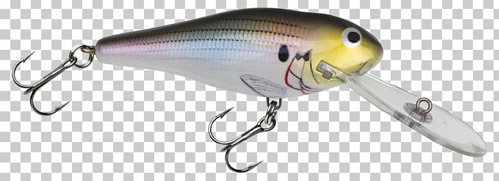 Plug Fishing Baits & Lures American Shad Rapala PNG, Clipart, American Shad, Bait, Bait Fish, Beak, Fish Free PNG Download