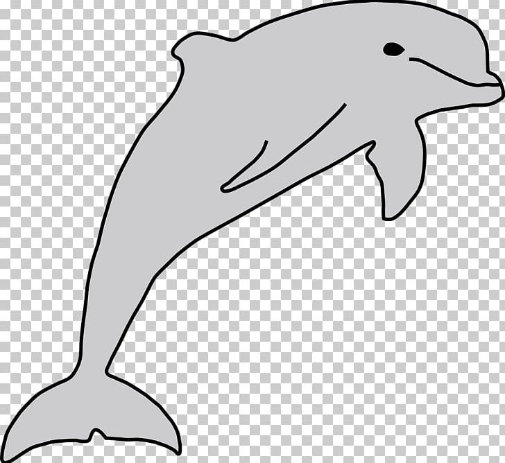 Dolphin PNG, Clipart, Animals, Artwork, Beak, Bottlenose Dolphin, Cetacea Free PNG Download