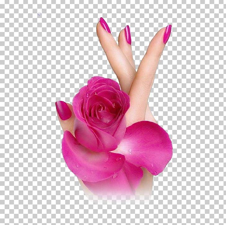 Cosmetics Upper Limb Nail Polish Flower PNG, Clipart, Beauty, Cartoon Cosmetics, Closeup, Cosmetic, Cosmetic Beauty Free PNG Download