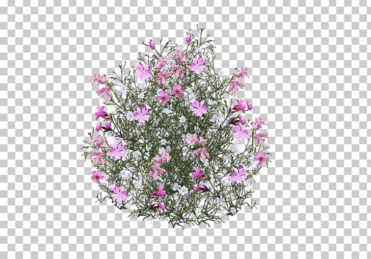 Cut Flowers Rose Pink PNG, Clipart, Annual Plant, Blue, Blue Rose, Branch, Cut Flowers Free PNG Download