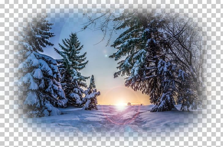 Desktop Winter Nature Story Snow PNG, Clipart, 8k Resolution, Christmas Tree, Cloud, Computer Wallpaper, Conifer Free PNG Download