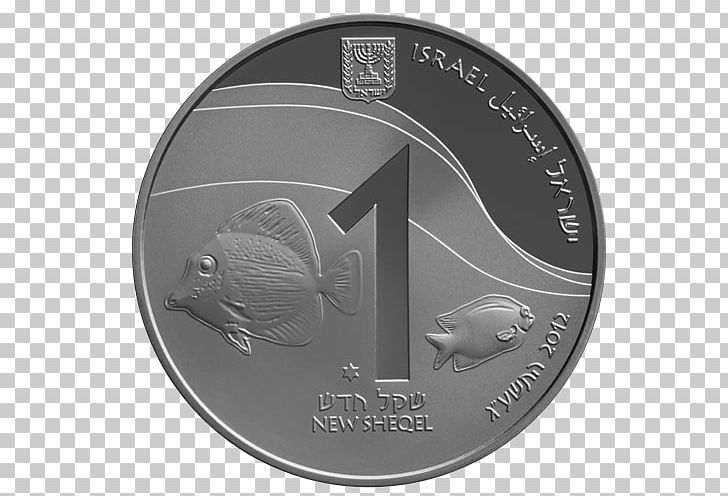 Gold Coin Israeli New Shekel Silver Eilat PNG, Clipart, Black And White, Coin, Coral, Coral Reef, Currency Free PNG Download
