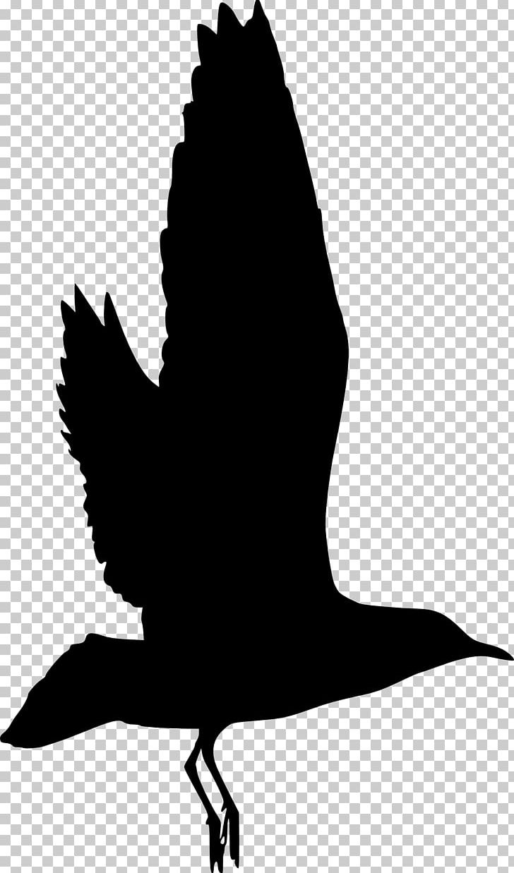Bird Silhouette PNG, Clipart, Animals, Beak, Bird, Black And White, Clip Art Free PNG Download