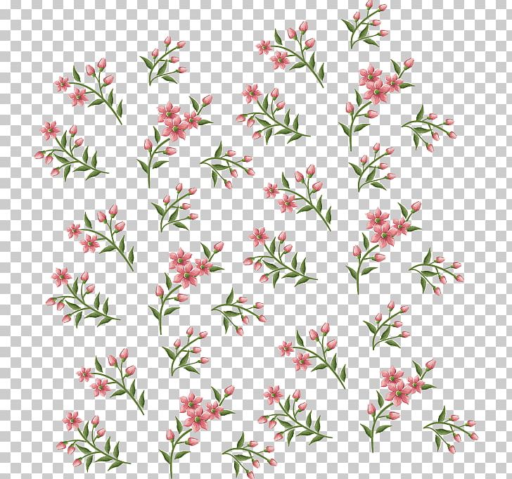 Flower Petal PNG, Clipart, Angle, Area, Art, Background Vector, Branch Free PNG Download