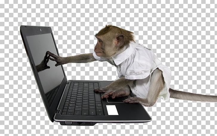 Laptop Monkey Testing Computer Infinite Monkey Theorem PNG, Clipart, Animals, Creative, Information, Mammal, Mind Monkey Free PNG Download
