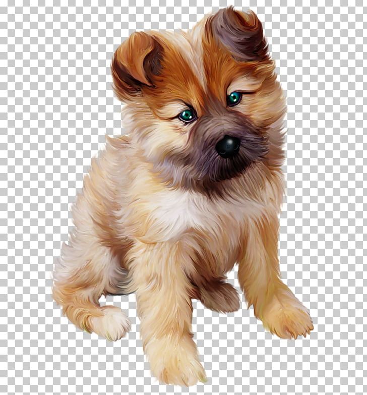 Museum Of Fine Arts PNG, Clipart, Animal, Animals, Boykin Spaniel, Cairn Terrier, Carnivoran Free PNG Download