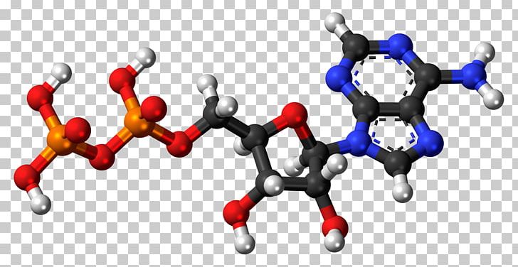 Adenosine Triphosphate Adenosine Diphosphate Adenosine Monophosphate Pyrophosphate PNG, Clipart, Adenine, Adenosine, Adenosine Diphosphate, Adenosine Monophosphate, Adenosine Triphosphate Free PNG Download