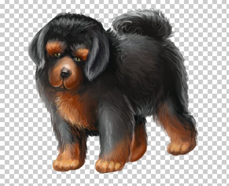 Rottweiler Puppy Companion Dog Dog Breed PNG, Clipart, Animals, Breed, Carnivoran, Companion Dog, Dog Free PNG Download