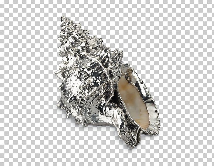 Silver Jewellery Buccellati Metal Seashell PNG, Clipart, Bowl, Buccellati, Centrepiece, Charonia, Coin Tray Free PNG Download