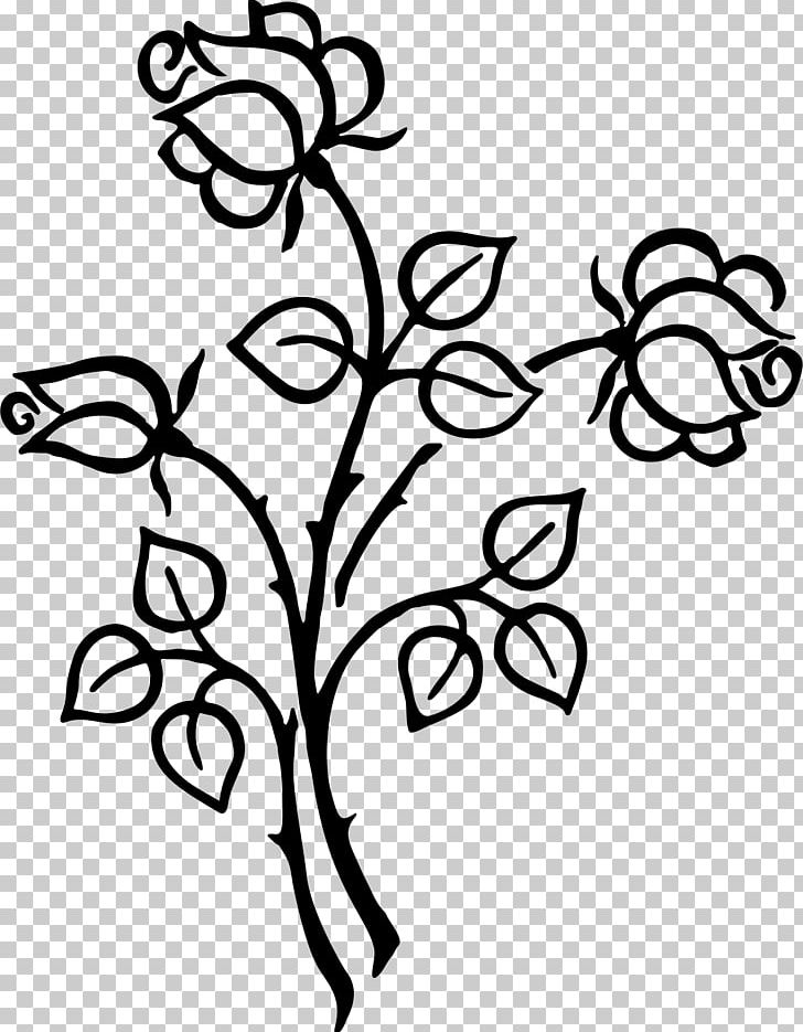 Floral Design Line Art PNG, Clipart, Art, Black, Black And White, Branch, Drawing Free PNG Download