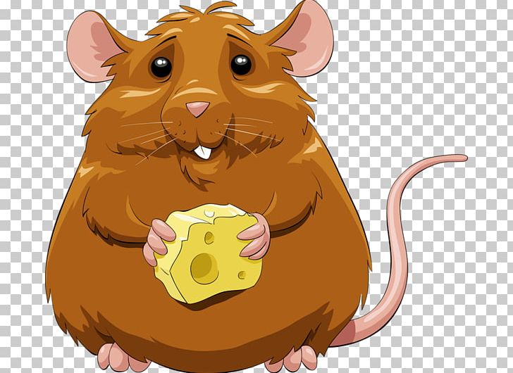 Mouse Brown Rat PNG, Clipart, Animals, Brown Rat, Carnivoran, Cartoon, Cat Like Mammal Free PNG Download