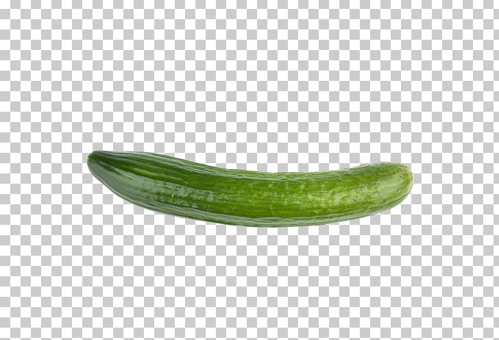 Pickled Cucumber Organic Food Vegetarian Cuisine Vegetable PNG, Clipart, Armenian Cucumber, Cucumber, Cucumber Gourd And Melon Family, Cucumis, Food Free PNG Download