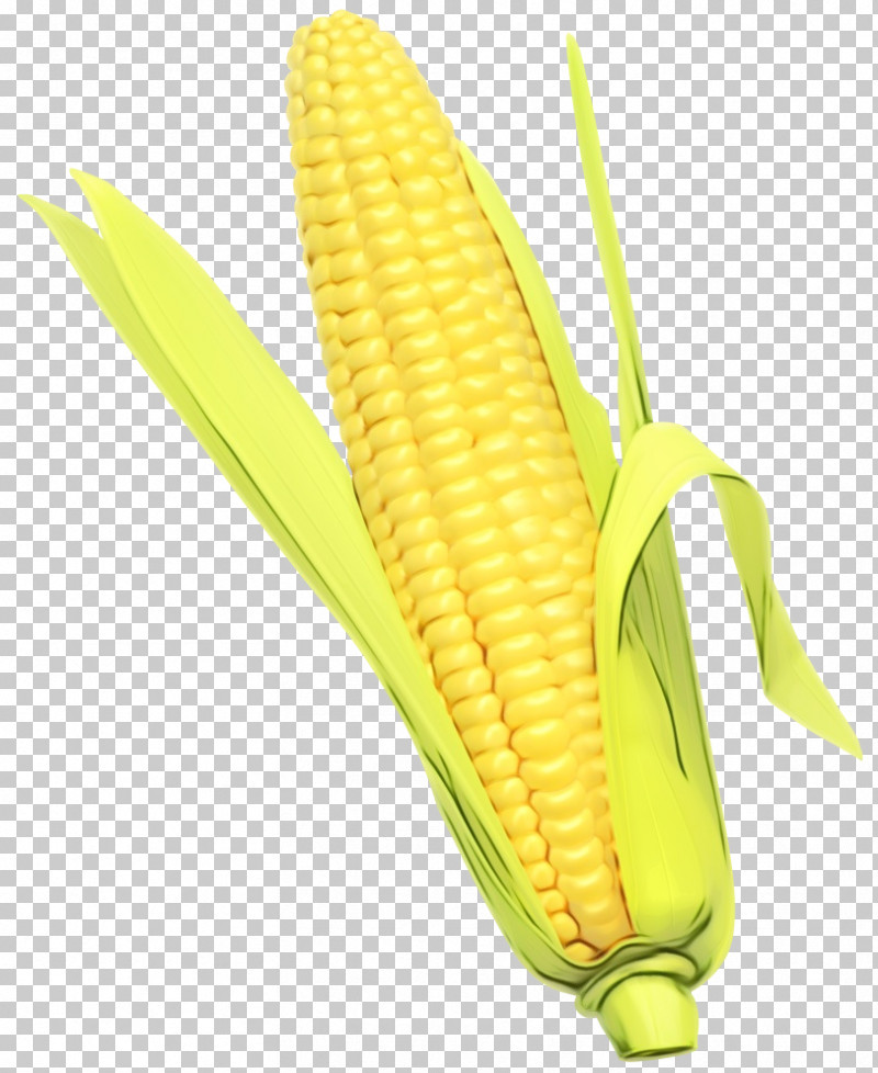 Corn Kernels Corn Corn On The Cob Sweet Corn Corn On The Cob PNG, Clipart, Corn, Corn Kernels, Corn On The Cob, Cuisine, Food Free PNG Download