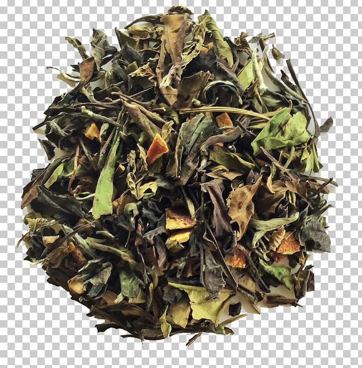 Sencha Green Tea White Tea Gyokuro PNG, Clipart, Bai Mudan, Bancha, Ceylon Tea, Da Hong Pao, Darjeeling Tea Free PNG Download