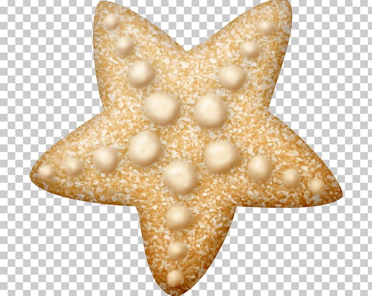 Starfish Sea Drawing PNG, Clipart, Animal, Animals, Child, Description, Drawing Free PNG Download