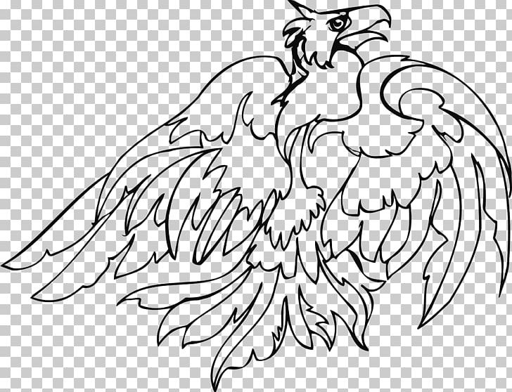 Bird Of Prey Line Art Drawing PNG, Clipart, Animals, Arm, Art, Artwork, Beak Free PNG Download