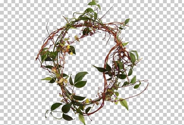 Leaf Branch Others PNG, Clipart, Branch, Cluster, Flora, Flowerpot, Fotolia Free PNG Download