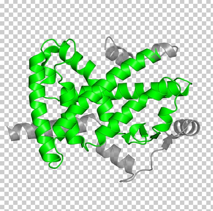 Steroid Hormone Receptor Ligand PNG, Clipart, Anabolic Steroid, Binding, Dose, Gamma, Green Free PNG Download