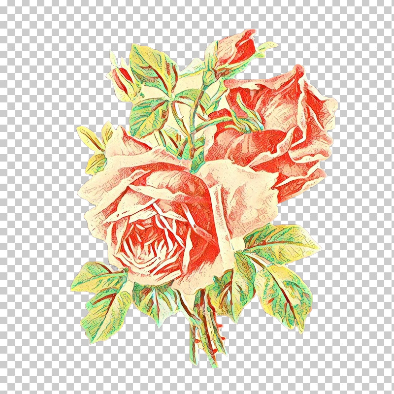 Garden Roses PNG, Clipart, Bouquet, Cut Flowers, Flower, Garden Roses, Pink Free PNG Download