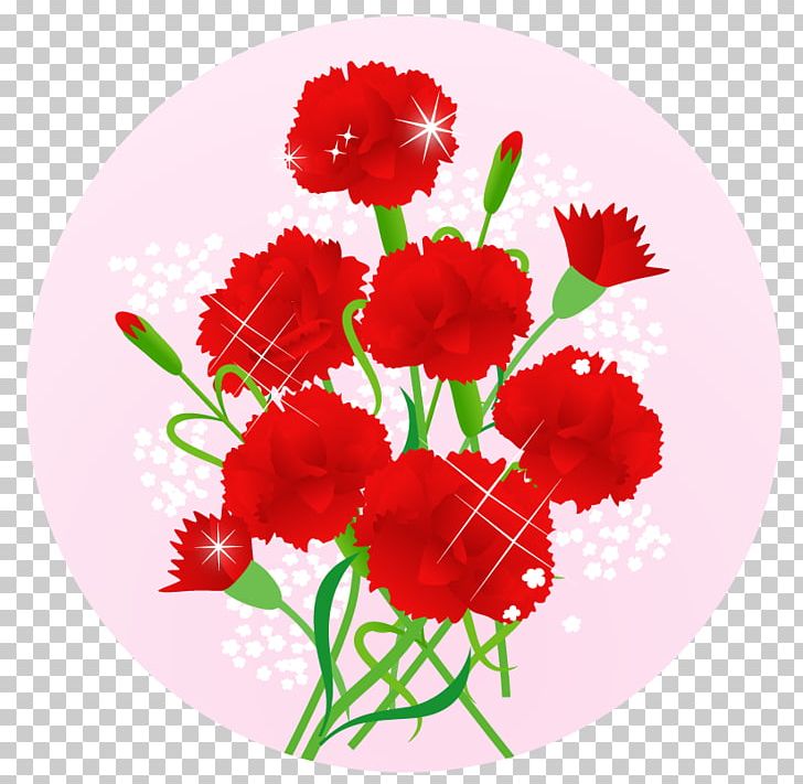 Carnation Mother's Day Cut Flowers 舞妓の茶本舗 PNG, Clipart,  Free PNG Download
