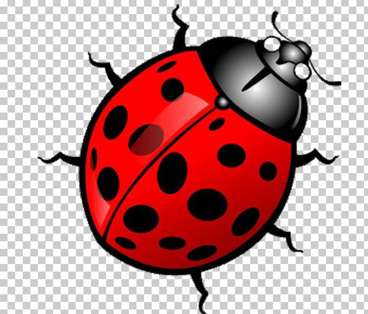 Ladybird PNG, Clipart, Artwork, Beetle, Bug, Bug Cartoon, Cartoon Free PNG Download