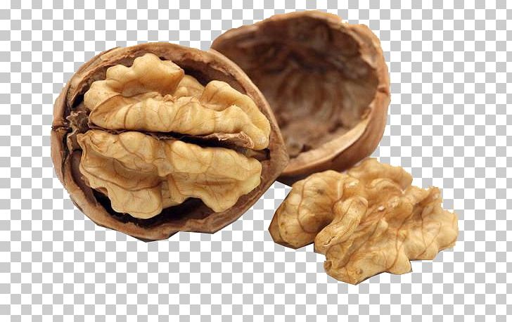 Nutrient Food Nutrition Dietary Supplement Walnut PNG, Clipart, Calorie, Diet, Dietary Supplement, Eating, Fat Free PNG Download