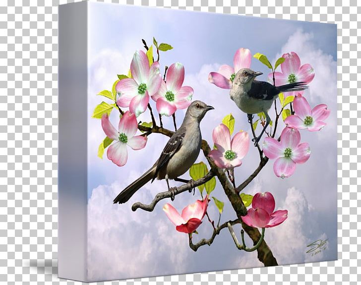 Cherry Blossom Floral Design Petal PNG, Clipart, Bird, Blossom, Branch, Cherry, Cherry Blossom Free PNG Download