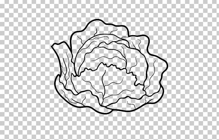 Chinese Cabbage Capitata Group Drawing PNG, Clipart, Artwork, Black And White, Cabbage, Cauliflower, Circle Free PNG Download