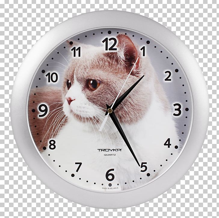 Internet Moscow Online Shopping Whiskers Clock PNG, Clipart, Cat, Cat Like Mammal, Clock, Clothing Accessories, Home Accessories Free PNG Download