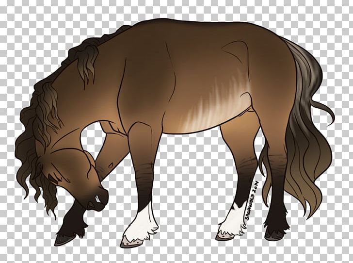 Mane Mustang Stallion Foal Mare PNG, Clipart, Cartoon, Colt, Donkey, Foal, Halter Free PNG Download