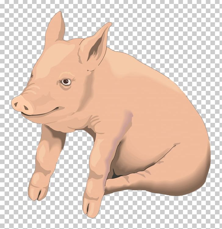 Domestic Pig Pig Roast PNG, Clipart, Animal, Animals, Cartoon, Cartoon Character, Cartoon Cloud Free PNG Download
