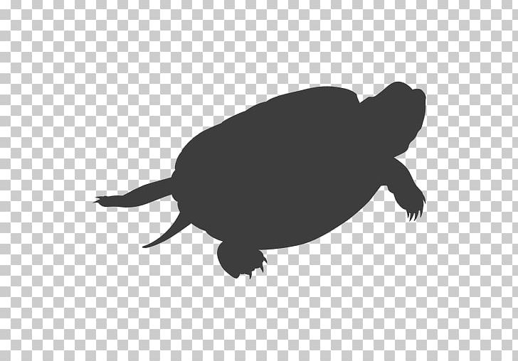 Sea Turtle Tortoise Silhouette PNG, Clipart, Amphibian, Animals, Beak, Black And White, Chinese Softshell Turtle Free PNG Download