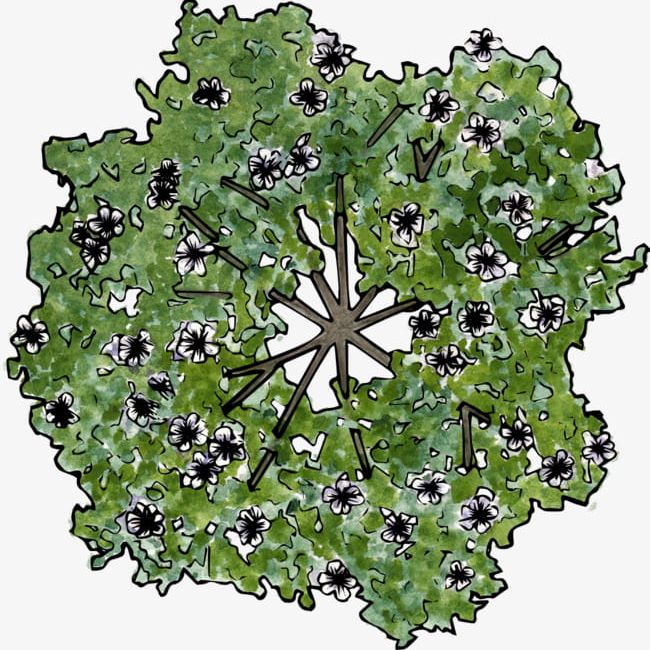 The Flowers On The Trees PNG, Clipart, Decoration, Diagram, Flowers ...