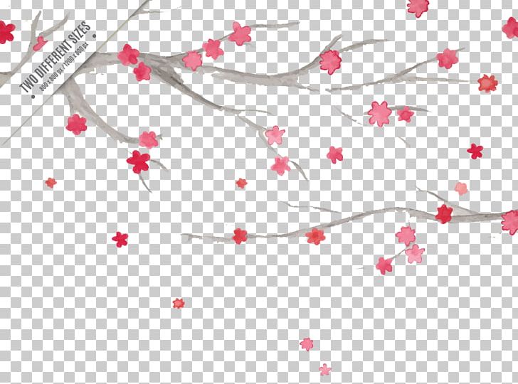 Watercolor Painting Cherry Blossom PNG, Clipart, Adobe, Angle, Blossoms, Branches, Cerasus Free PNG Download