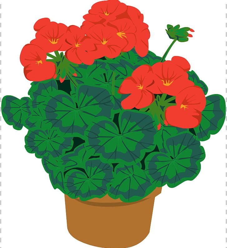 Houseplant Flowerpot PNG, Clipart, Annual Plant, Cactaceae, Cut Flowers, Drawing, Flower Free PNG Download