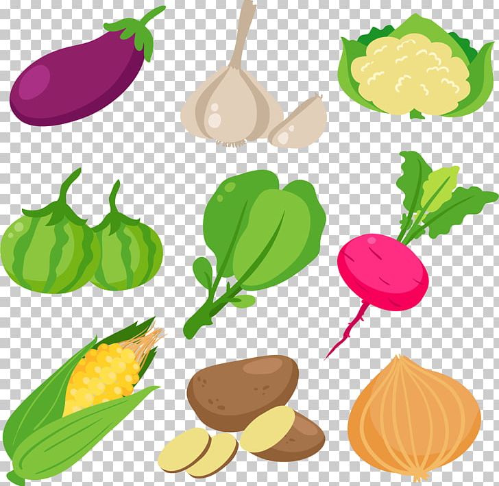 Leaf Vegetable Cartoon PNG, Clipart, Broccoli, Cabbage, Cauliflower, Commodity, Corn Free PNG Download