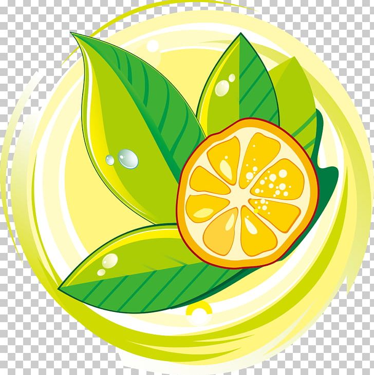 Lemon-lime Drink Lemon-lime Drink PNG, Clipart, Christmas Decoration, Citric Acid, Citrus, Decor, Decorative Free PNG Download