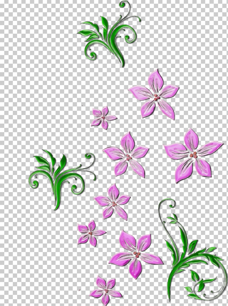 Flower Plant Pedicel Petal Wildflower PNG, Clipart, Flower, Herbaceous Plant, Paint, Pedicel, Petal Free PNG Download