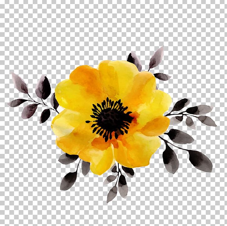 Graphics Stock Photography Flower Floral Design Stock Illustration PNG, Clipart, Chrysanths, Cut Flowers, Daisy, Daisy Family, Floral Design Free PNG Download
