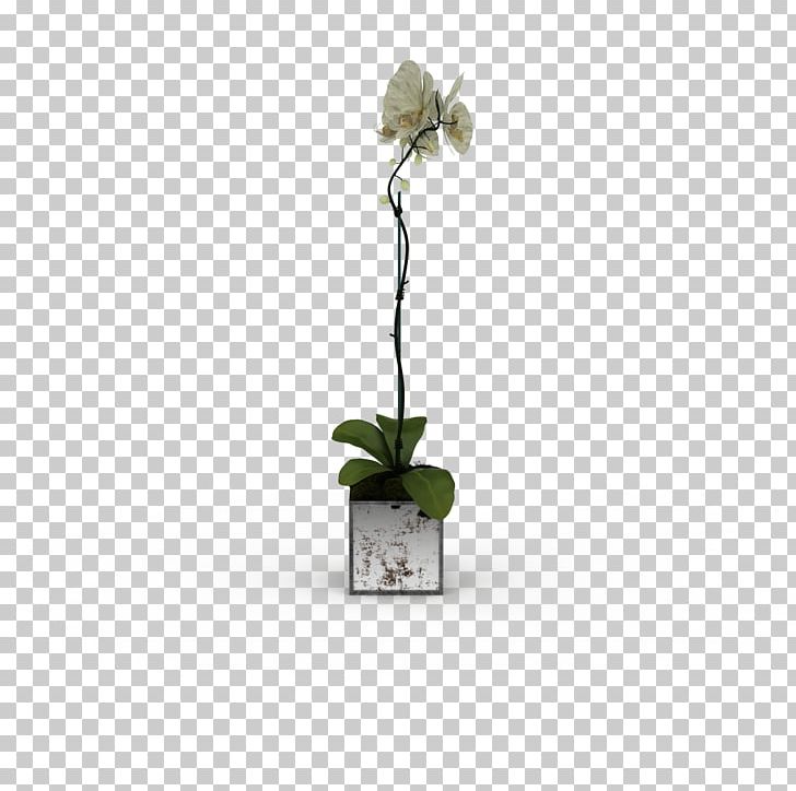 3D Computer Graphics 3D Modeling Flower PNG, Clipart, 3d Computer Graphics, 3d Modeling, Ball, Bouquet, Color Free PNG Download