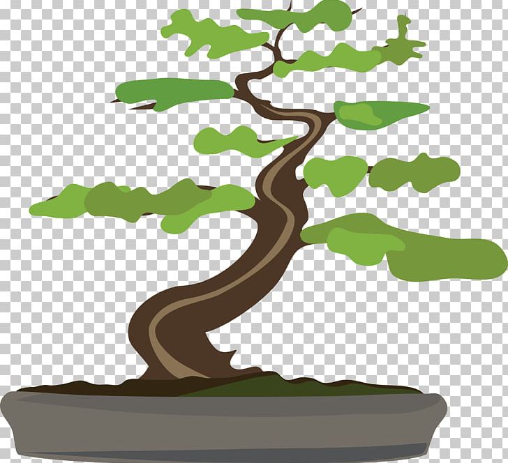 Bonsai Larix Decidua Tree Flowerpot PNG, Clipart, Bonsai, Branch, Computer Icons, Flowerpot, Houseplant Free PNG Download