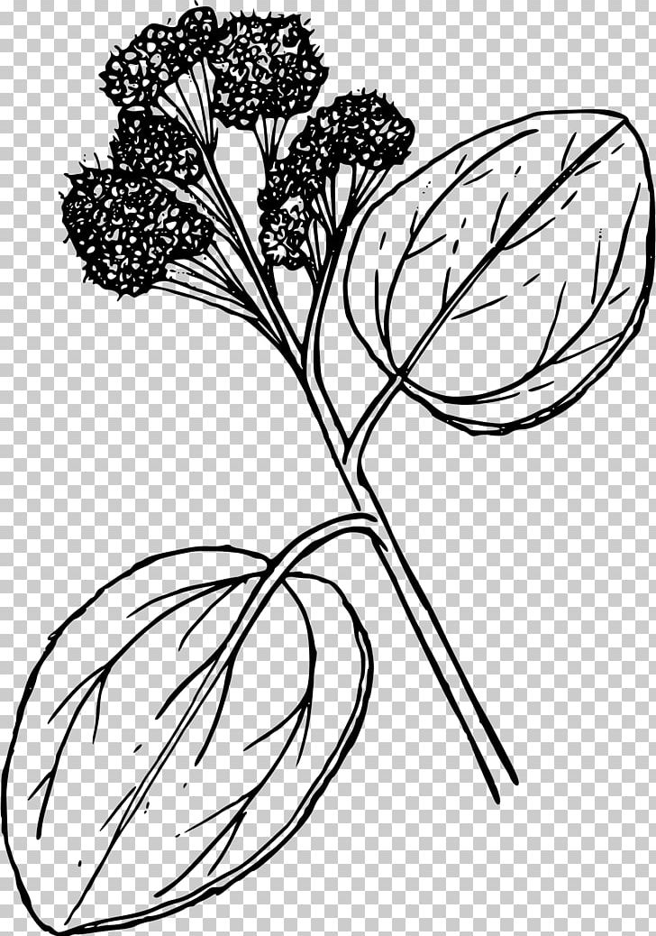 Computer Icons Floral Design PNG, Clipart, Art, Artwork, Black And White, Branch, Color Free PNG Download