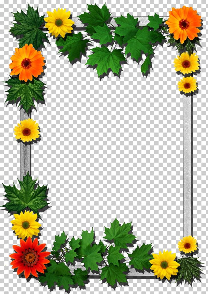 Frames Flower PNG, Clipart, Annual Plant, Border Frames, Chrysanths, Cut Flowers, Daisy Family Free PNG Download