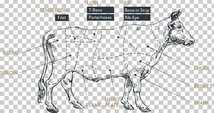 Mule Mustang Bridle Mane Cattle PNG, Clipart, Angle, Area, Artwork, Bridle, Cattle Free PNG Download