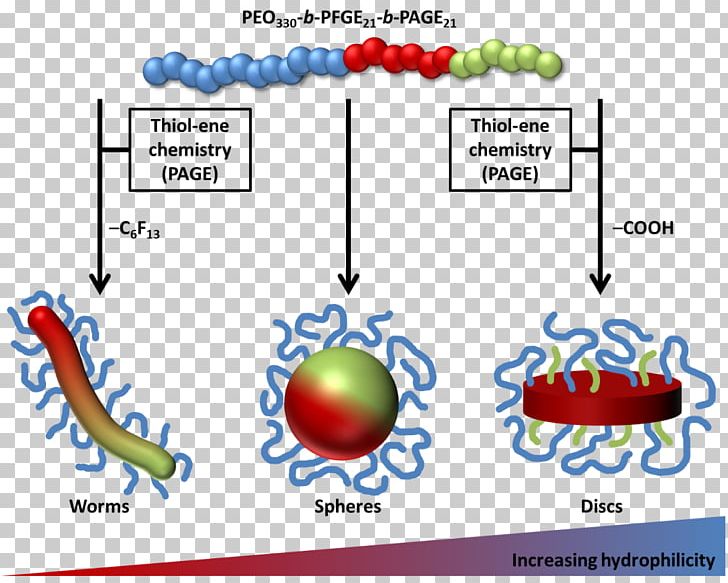 Copolymer Ether Terpolymer Field Flow Fractionation PNG, Clipart, Area, Circle, Copolymer, Diagram, Ether Free PNG Download