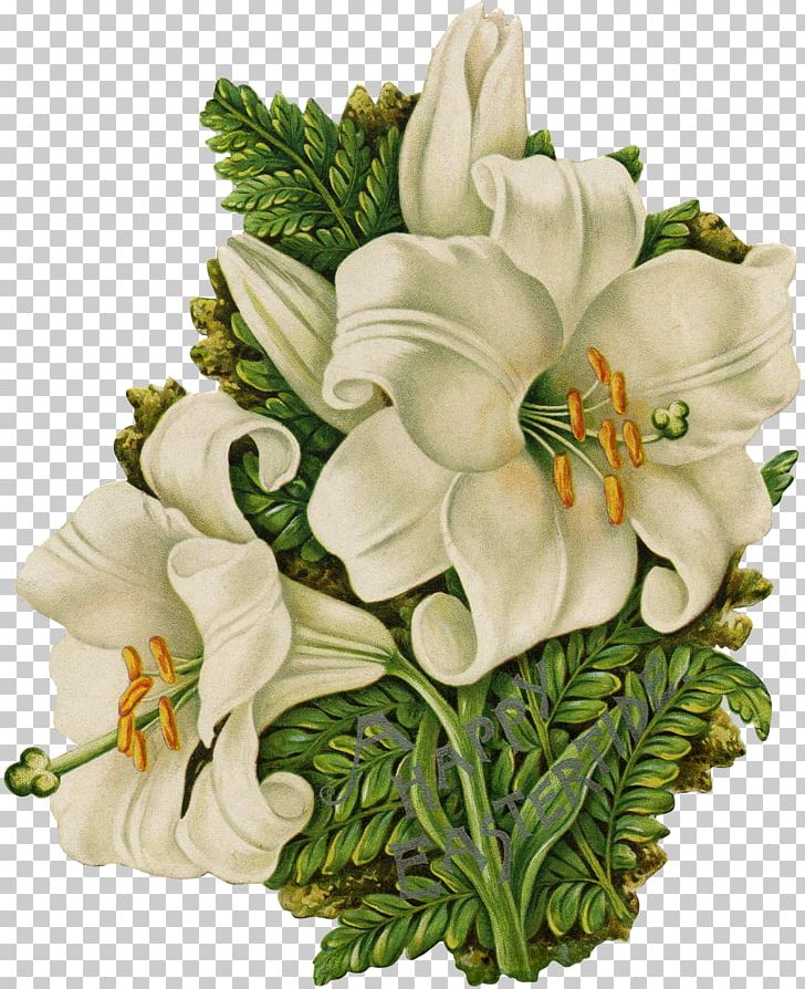Floral Design Cut Flowers Flower Bouquet Rosaceae PNG, Clipart, Cut Flowers, Easter Lily, Floral Design, Floristry, Flower Free PNG Download