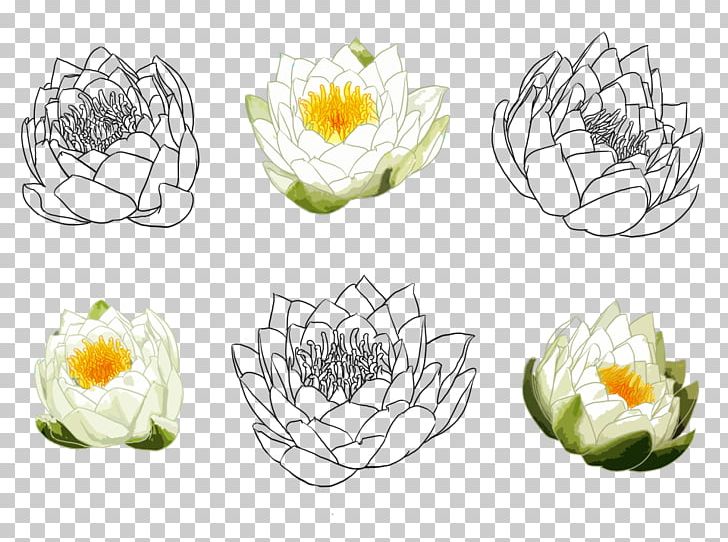 Nelumbo Nucifera Drawing Watercolor Painting Croquis PNG, Clipart, Black And White, Dishware, Floral Design, Floristry, Flower Free PNG Download