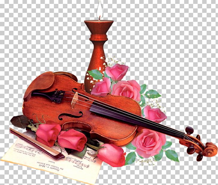 Violin Musical Instruments String Instruments PNG, Clipart, Art, Bowed String Instrument, Cello, Fiddle, Instrument Free PNG Download