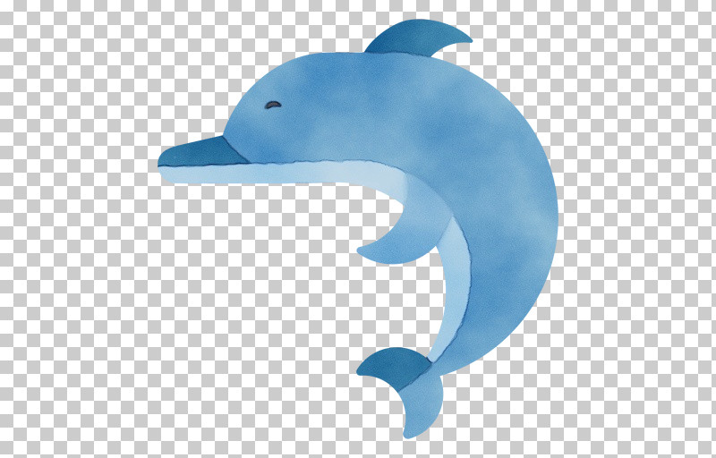 Dolphin Cetaceans Porpoises Whales Bottlenose Dolphin PNG, Clipart, Biology, Bottlenose Dolphin, Cetaceans, Dolphin, Paint Free PNG Download